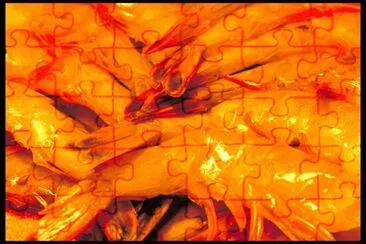 MARSU jigsaw puzzle