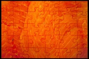 MARSU jigsaw puzzle
