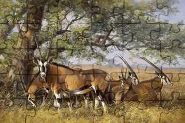 animais jigsaw puzzle