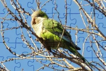 Dulce sueÃ±o jigsaw puzzle
