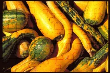 MARSU jigsaw puzzle
