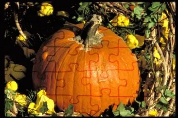 MARSU jigsaw puzzle