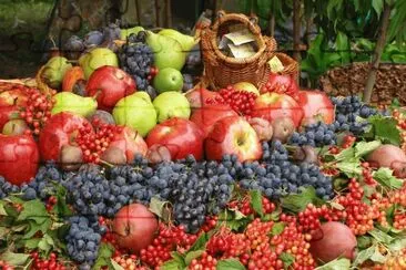 Fruit on the Market jigsaw puzzle