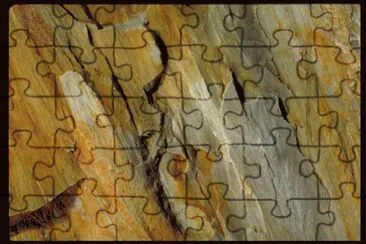 MARSU jigsaw puzzle