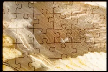 MARSU jigsaw puzzle