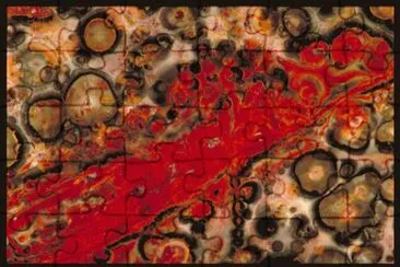 MARSU jigsaw puzzle