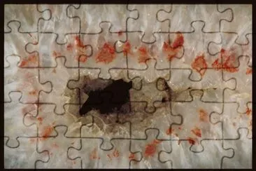 MARSU jigsaw puzzle