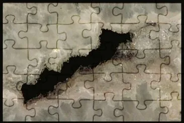 MARSU jigsaw puzzle