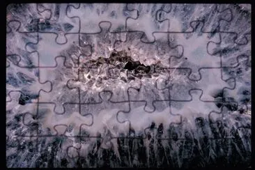 MARSU jigsaw puzzle