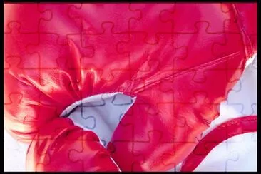 RSU jigsaw puzzle