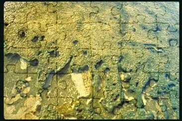 MARSU jigsaw puzzle