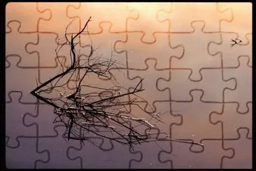 MARSU jigsaw puzzle