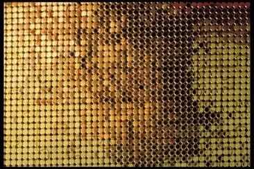 MARSU jigsaw puzzle