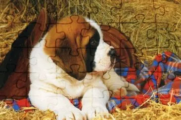 gosset jigsaw puzzle
