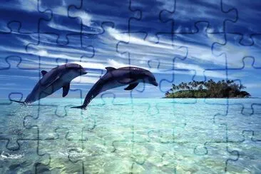 פאזל של Delfines alegres
