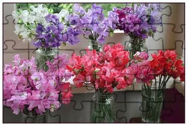 bouquet de pois de senteur jigsaw puzzle