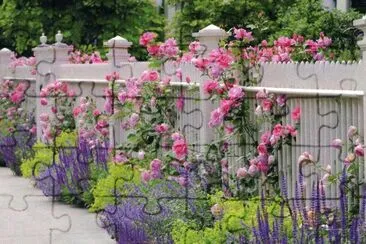 JardÃ¬