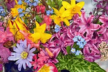 פאזל של Spring Art