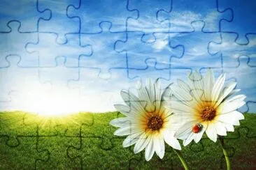Flowers jigsaw puzzle