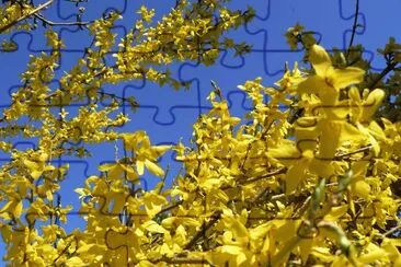 printemps jigsaw puzzle