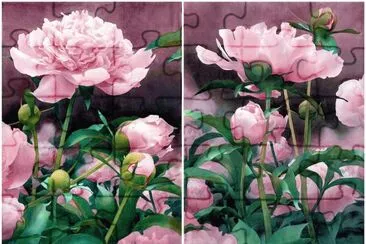 Peonies jigsaw puzzle