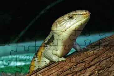 MARSU