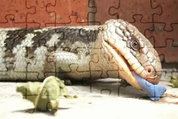 MARSU jigsaw puzzle