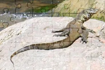 MARSU jigsaw puzzle