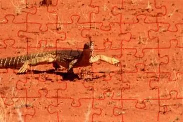 MARSU jigsaw puzzle