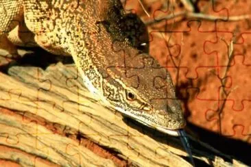 MARSU jigsaw puzzle
