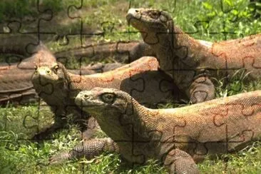 MARSU jigsaw puzzle