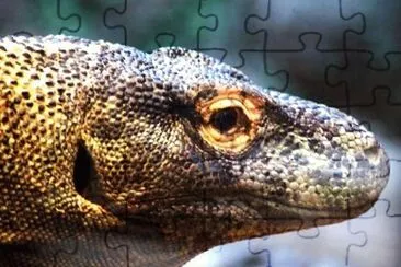 MARSU jigsaw puzzle