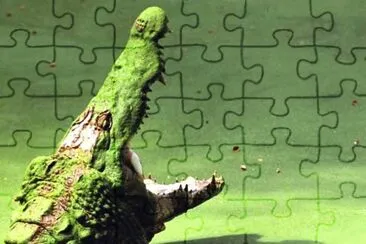 MARSU jigsaw puzzle