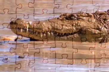 MARSU jigsaw puzzle