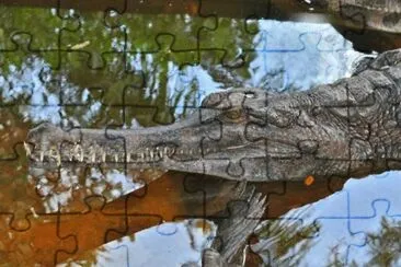 MARSU jigsaw puzzle