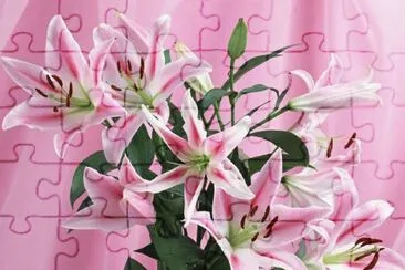 Lillies jigsaw puzzle