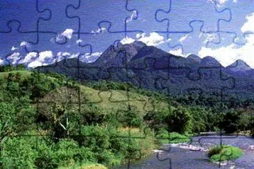 Mata AtlÃ¢ntica - Bahia jigsaw puzzle