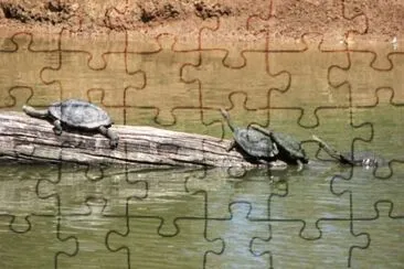 MARSU jigsaw puzzle