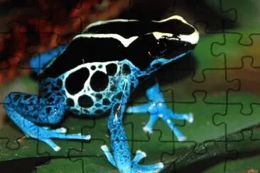 MARSU jigsaw puzzle