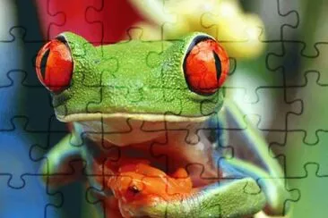 MARSU jigsaw puzzle