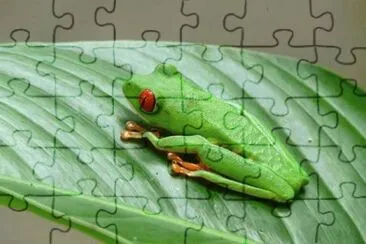 MARSU jigsaw puzzle