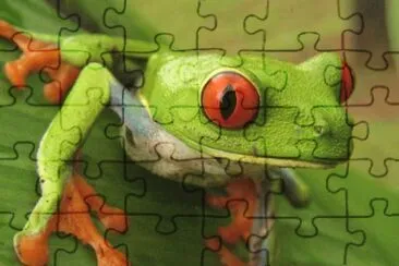 MARSU jigsaw puzzle