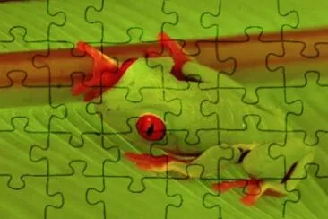 MARSU jigsaw puzzle