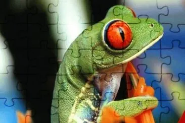 MARSU jigsaw puzzle