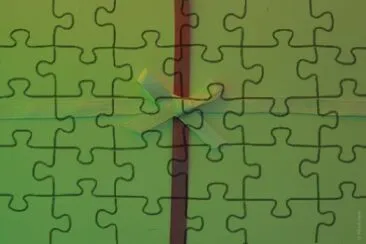 MARSU jigsaw puzzle