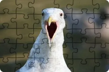 MARSU jigsaw puzzle