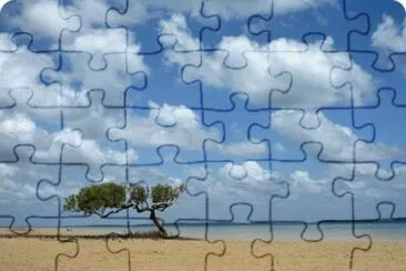 MARSU jigsaw puzzle