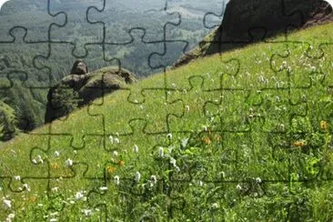 MARSU jigsaw puzzle