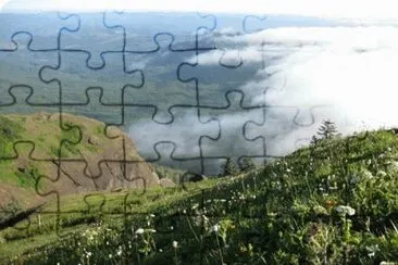 MARSU jigsaw puzzle