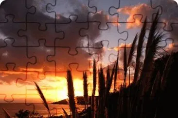 MARSU jigsaw puzzle